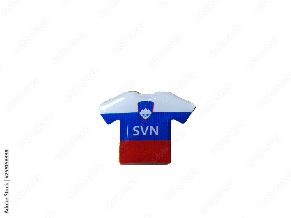Slovenia  Flag on t-shirt	