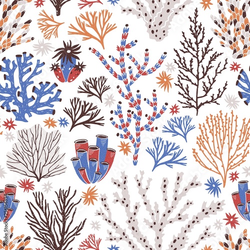 Photography Seamless pattern with coral and seaweed on white background