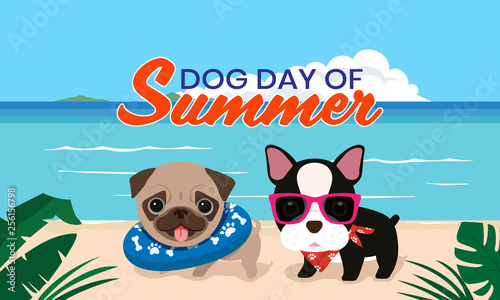 The fun of cute puppies on the beach in summer.