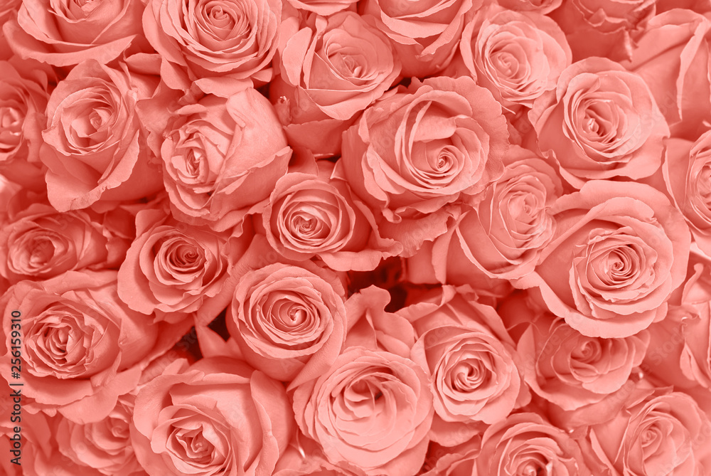 Flower bouquet from red roses. Flower bouquet from red roses.