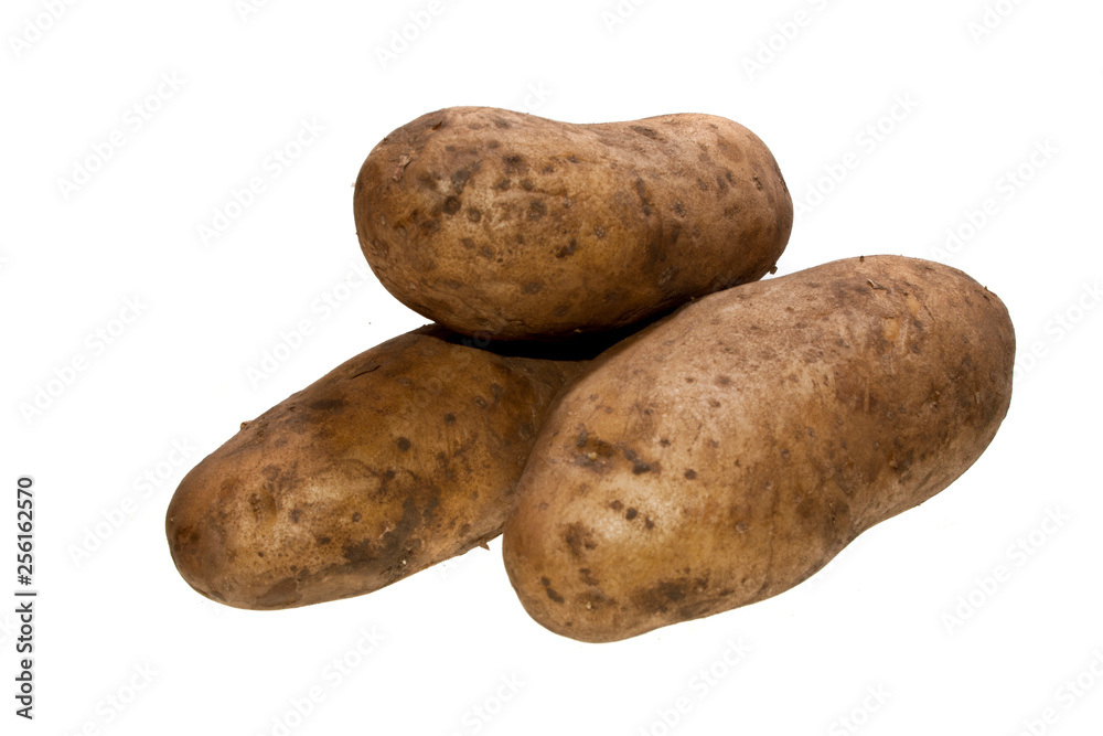 potato isolated on white background potato isolated on white background