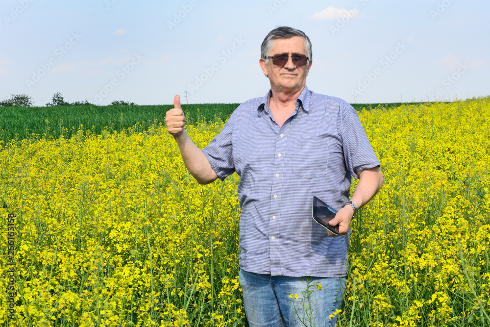 Agronomist inspecting quality of canola field
