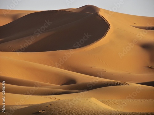 Fototapeta Naklejka Na Ścianę i Meble -  Spectacular views in Sahara Desert. Sun colours its Beautiful Sand Dunes and creates astonishing shadows effects. Camel trekking and night in tents is a must