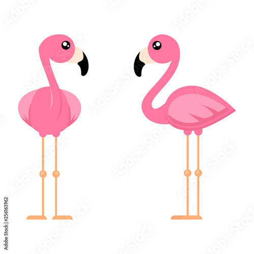 cartoon cute flamingo from the front set vector