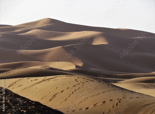 Spectacular views in Sahara Desert. Sun colours its Beautiful Sand Dunes and creates astonishing shadows effects. Camel trekking and night in tents is a must