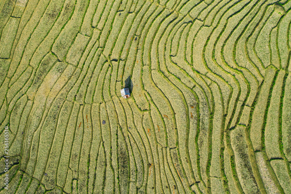 View from above, stunning aerial view of a little hut on a spectacular green rice terrace fileds which forms a natural texture on the hills of Luang Prabang, Laos. View from above, stunning aerial view of a little hut on a spectacular green rice terrace fileds which forms a natural texture on the hills of Luang Prabang, Laos.