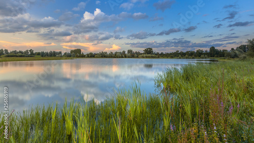 Lush River bank vegetation in forelands Blauwe Kamer