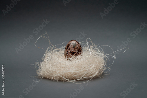 Easter still-life with quail egg in nest