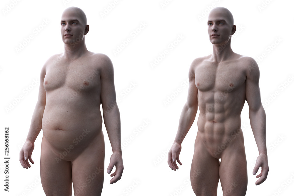 Fototapeta premium 3d rendered medically accurate illustration of a comparision of a fit and obese male