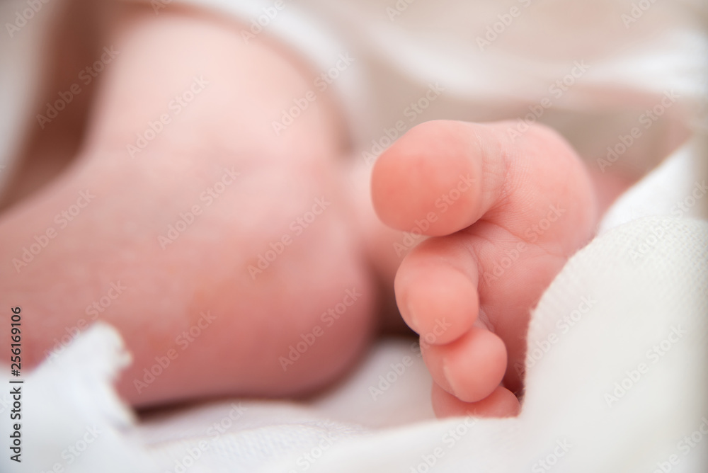 baby feet closeup on white background, newborn baby baby feet closeup on white background, newborn baby