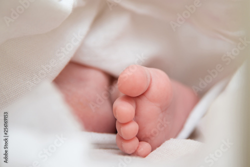 baby feet closeup on white background, newborn baby