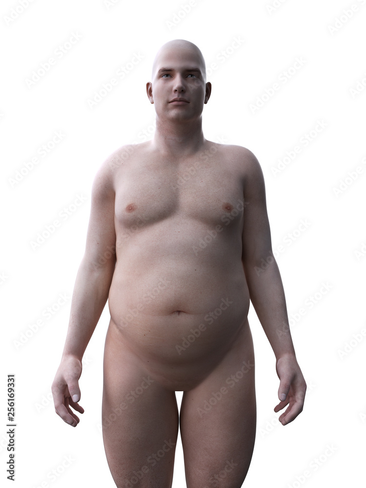 3d rendered medically accurate illustration of an obese male 3d rendered medically accurate illustration of an obese male