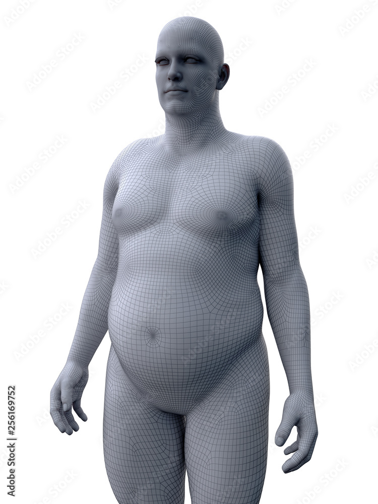 3d rendered medically accurate illustration of an obese male 3d rendered medically accurate illustration of an obese male