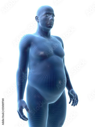 3d rendered medically accurate illustration of an obese male photo