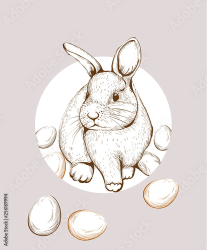 Easter Bunny rabbit Vector lineart. Cute spring card. Easter holiday greetings