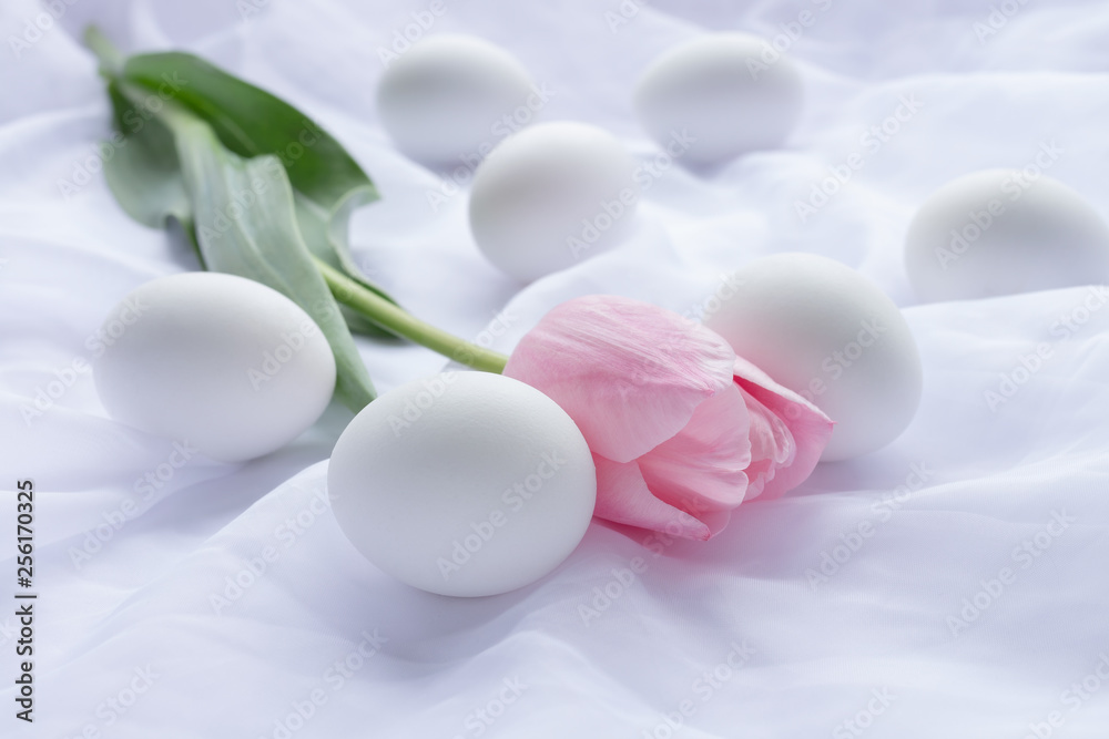 White Easter eggs and pink tulip laying on white fresh linen White Easter eggs and pink tulip laying on white fresh linen