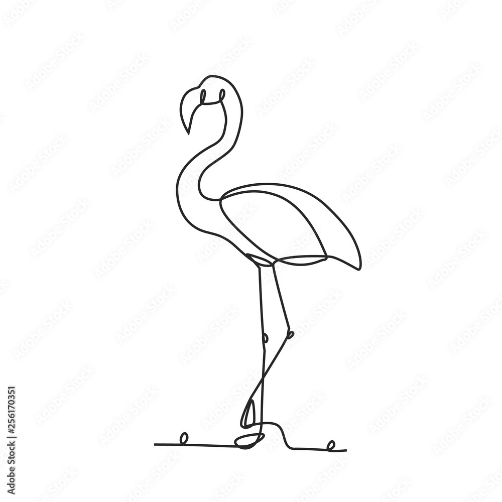Drawing a continuous line. Flamingo on white isolated background