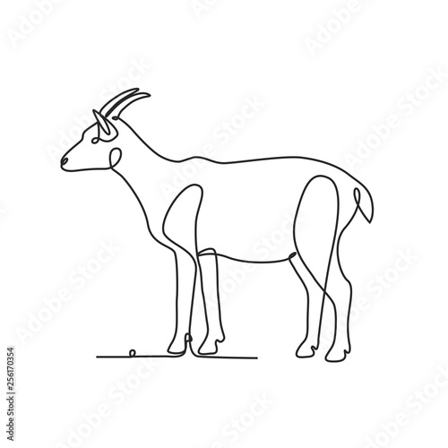 Drawing a continuous line. Goat on white isolated background