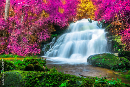 Fototapeta Naklejka Na Ścianę i Meble -  Amazing in nature, beautiful waterfall at colorful autumn forest in fall season 