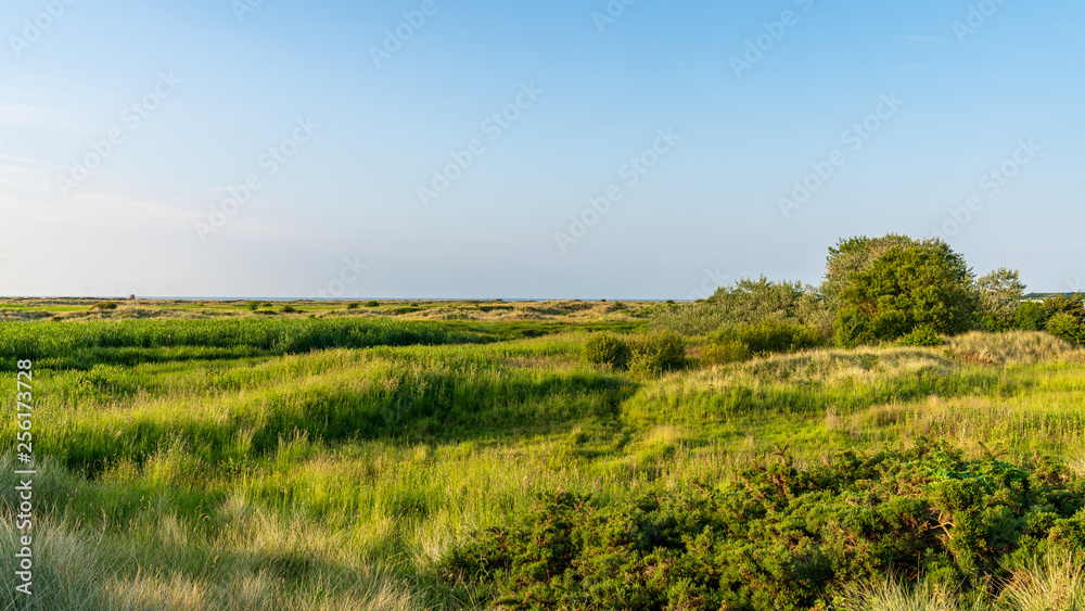 Landscape at the Gronant Dunes Nature Reserve, Denbighshire, Wales, UK