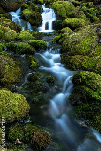 Waterfall  river with moss on rocks  long exposure