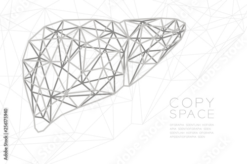 Liver shape wireframe polygon silver frame structure, Medical Science Organ concept design illustration isolated on black gradient background with copy space, vector eps 10