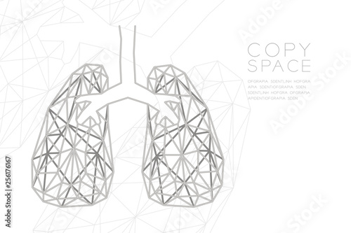 Lung shape wireframe polygon silver frame structure, Medical Science Organ concept design illustration isolated on black gradient background with copy space, vector eps 10