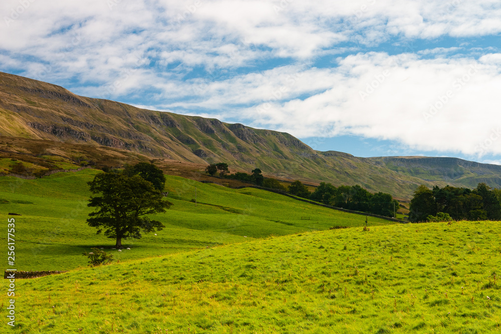 Obraz premium The typical landscape in Yorkshire Dales National Park, Great Britain.