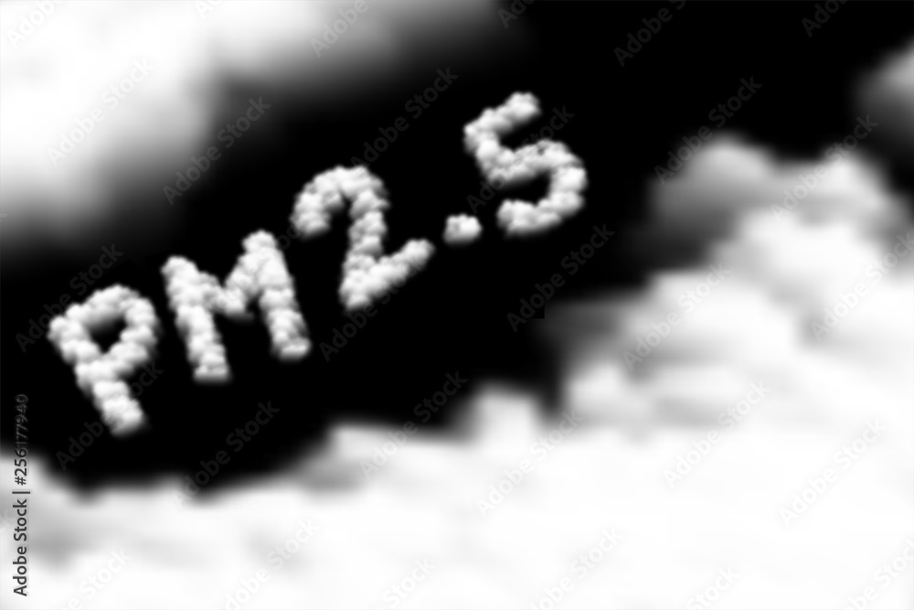 PM 2.5 text Cloud or smoke pattern, Pollution dust concept design illustration isolated float on dark sky background, vector eps 10
