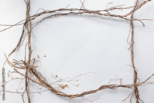 Pattern texture with green dry leaves hop on white background. Flat lay, top view minimal concept