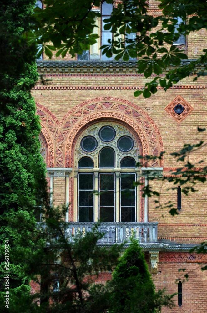 Fototapeta premium Look on a window through leaves