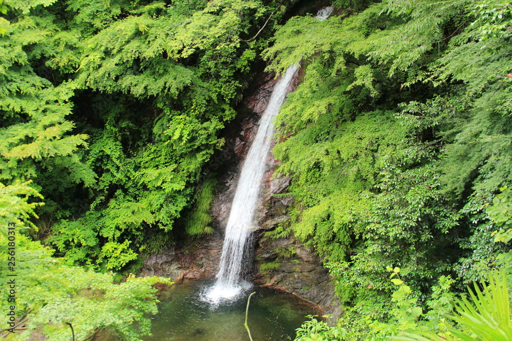 秩父華厳の滝 秩父華厳の滝