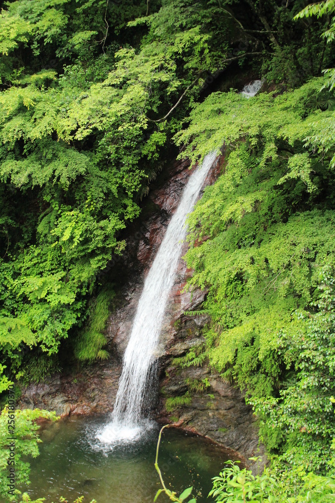秩父華厳の滝 秩父華厳の滝