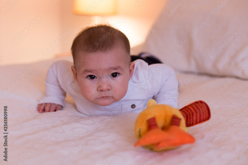 Horizontal shot of adorable bright-eyed baby girl crawling on bed towards plush toy Horizontal shot of adorable bright-eyed baby girl crawling on bed towards plush toy