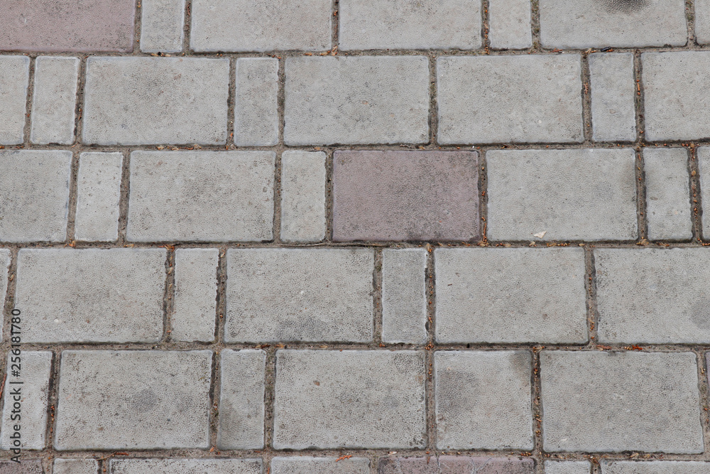 Paving slab. Paving