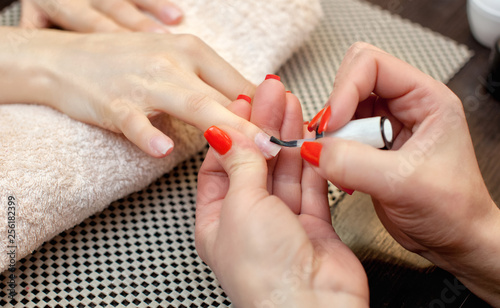 Nail artist paints nails with nail polish during the procedure of nail extensions with gel in the beauty salon. Professional care for hands.