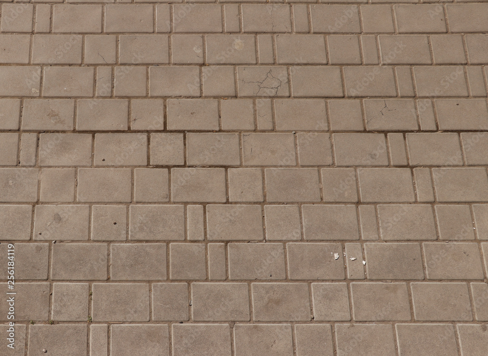 Naklejka premium Paving slab. Paving