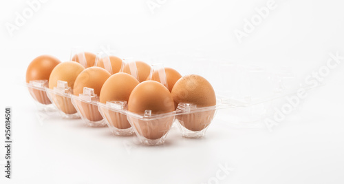 Ten eggs in side the open plastic packaging isolated on white background