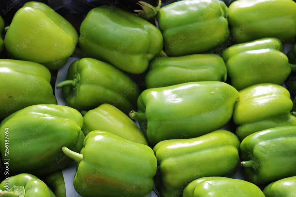 Bell peppers for sale Bell peppers for sale