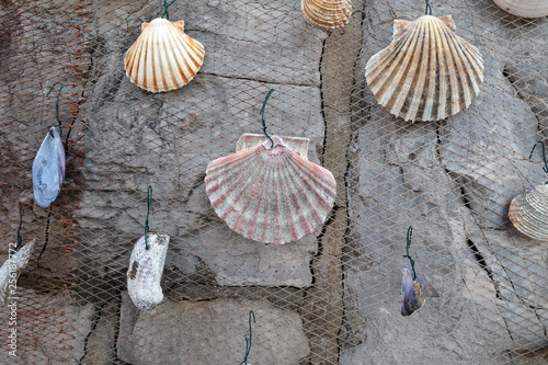 Fishing net decorated with seashell, exposed as decoration in front of the restaurant in Icici, Croatia photo