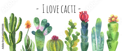 Cacti watercolor collection set. Cacti isolated on white. Cacti banner for scrapbooking etc. Florishing cactus, blue cacti, cactus flower.