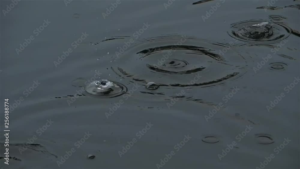 rain on the ground rain on the ground