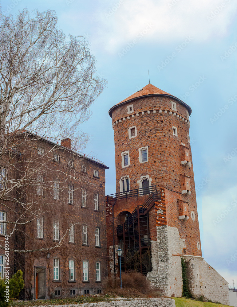 Obraz premium Autumn landscape with old Wawel Castle in Krakow, Poland