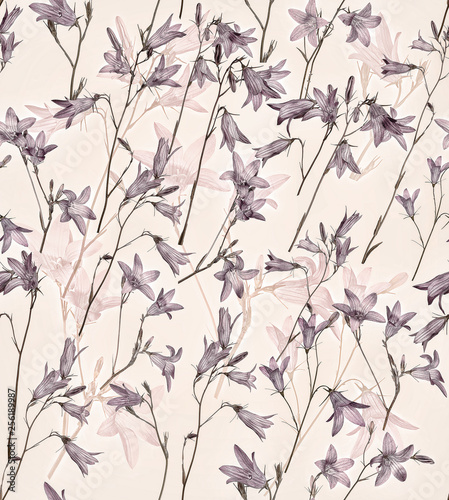 desaturated Spreading bellflowers background