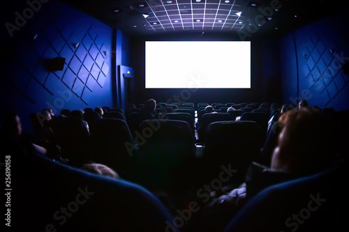 People in the cinema watching a movie.