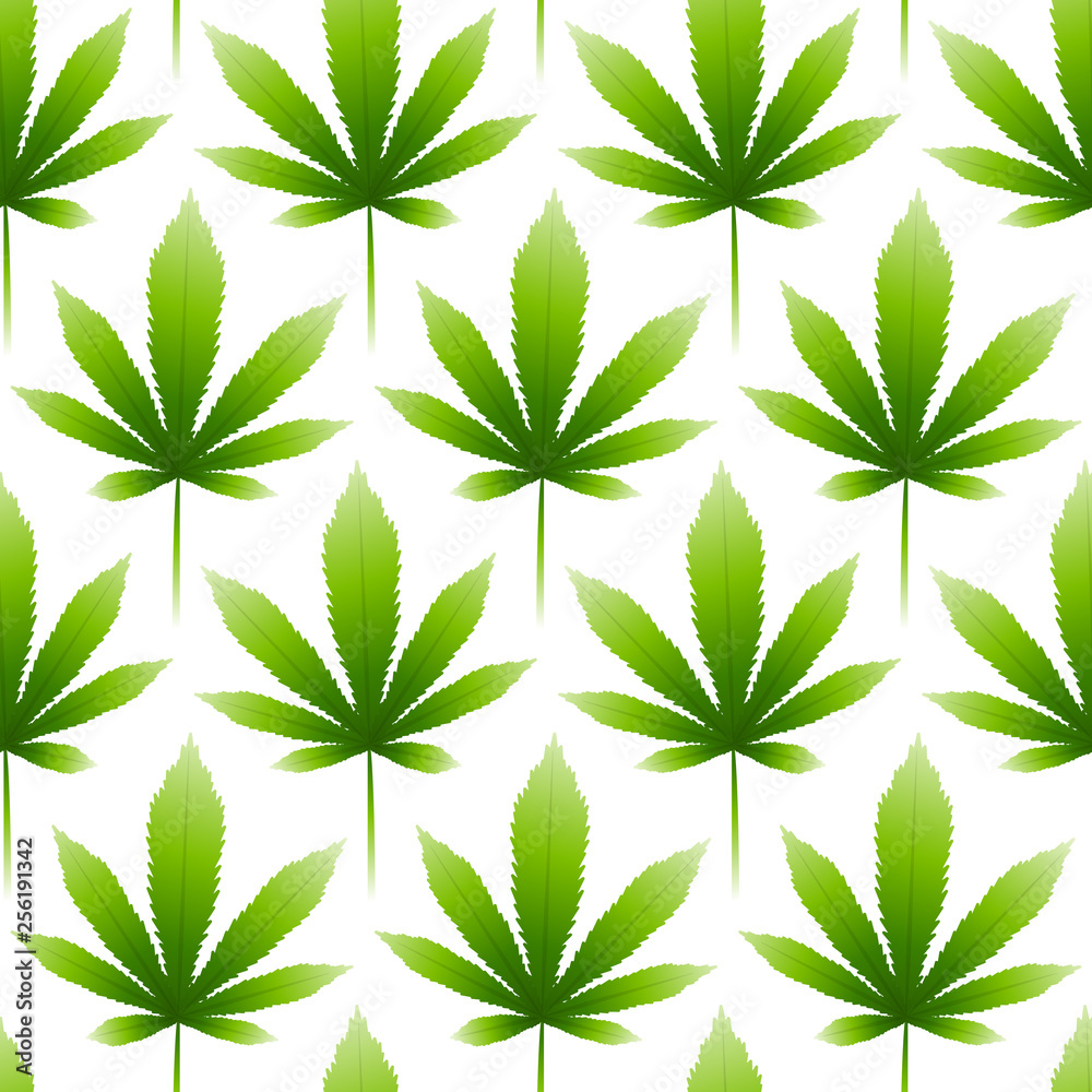 Seamless pattern with green hemp leaves