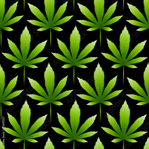 Seamless pattern with green hemp leaves 3