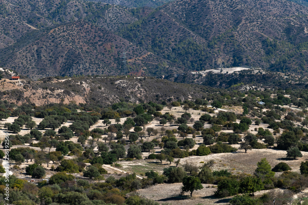 Landscape of the island of Cyprus - mountains and a plains
