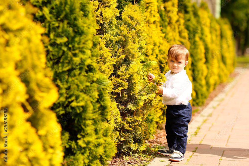 Portrait of beautiful smiling cute baby boy in park Portrait of beautiful smiling cute baby boy in park