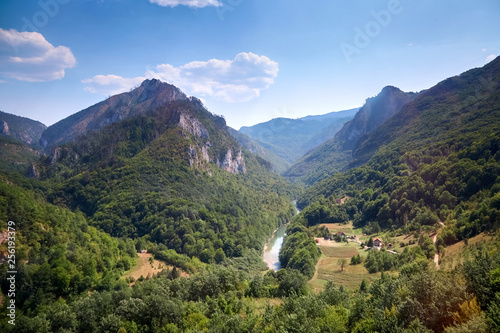 Mountain landscape. Canyon of the river Tara in Montenegro. Beautiful nature on a sunny summer day